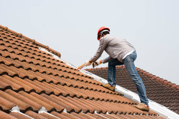 Best Roof Moss and Algae Removal  in Tehaleh, WA